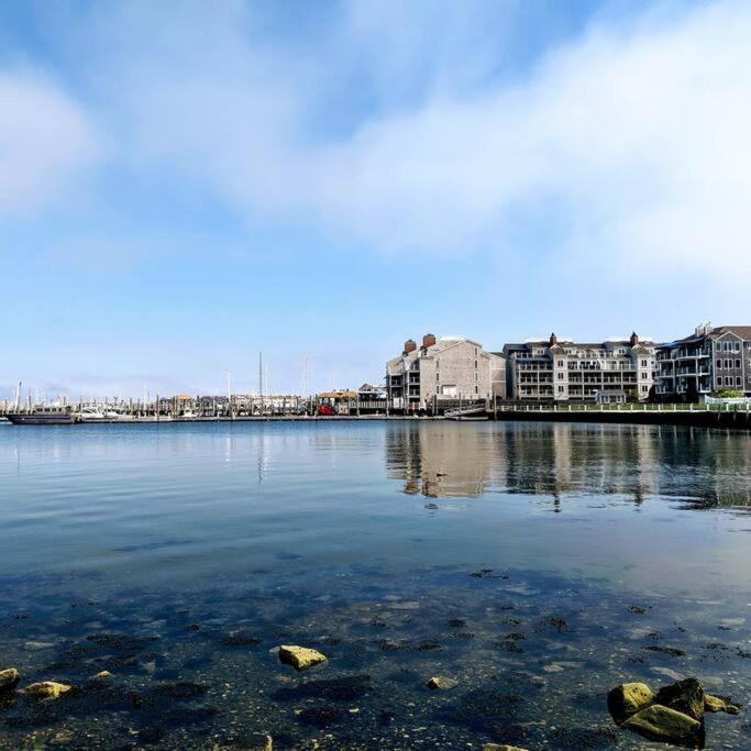 The Peaceful Puffin Apartment นิวพอร์ต ภายนอก รูปภาพ